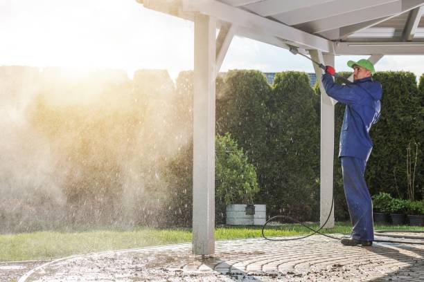 Best Pool Deck Cleaning  in Pho, IL